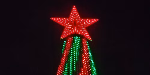 Lights For Darlene opening night