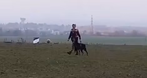 K\u00eds\u00e9r\u0151kutya (BH, IBGH 1-2-3) vizsga \u00e9s FRPK h\u00e1ziverseny