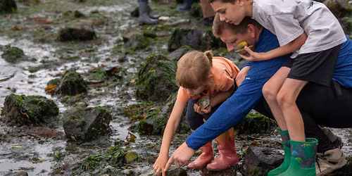 Explore the Shore with Point Defiance Zoo & Aquarium beach walk naturalists