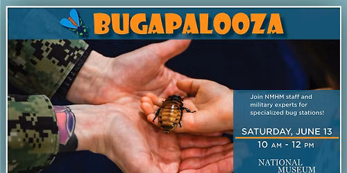Bugapalooza