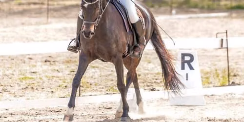 Lateral work: What- Why- When- How 