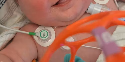 celebration of life for Revel James Beale-Shaule 