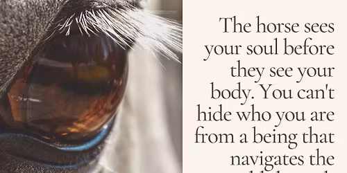 Calm connection with horses