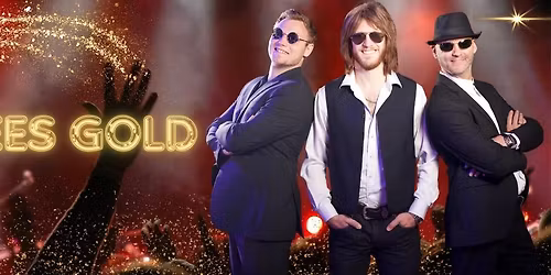 Bee Gees Gold @ The Fickle Pickle