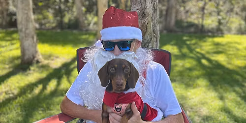 Annual Christmas Party \ud83c\udf84 \ud83d\udc36