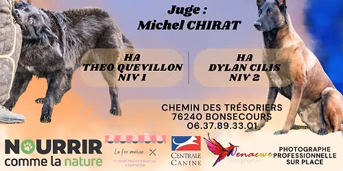 CONCOURS DE RING BONSECOURS