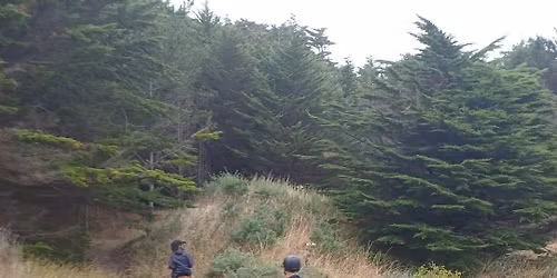 Cousins Reserve, Foxton.