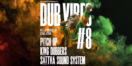 \ud83d\udd0a DUB VIBES #8 : Pitch Up, King Dubbers, Sattva Sound System