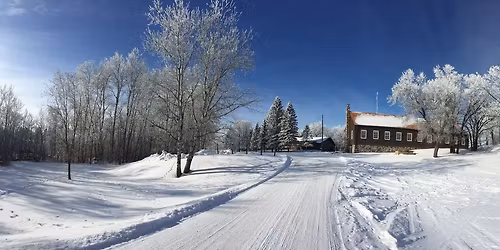 Holiday Puzzle Palooza