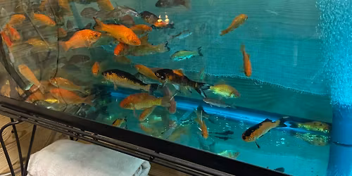 Tiny\u2019s Hand Tied Hair Jig demo with Crappie Dan