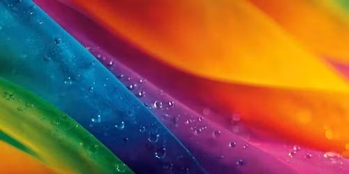 Bal d\u00e9guis\u00e9 et Color Party