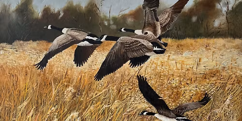 Jody Goldman Exhibit