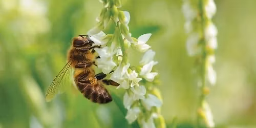 [VISITE ET ATELIER] Visite de l'exposition et atelier cr\u00e9atif