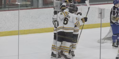 Long Beach Sharks at Binghamton Buzz