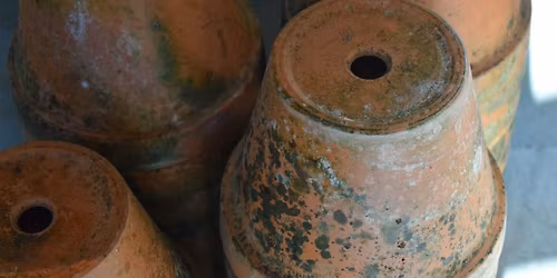 Kids Craft: Ancient Pottery @ Leland