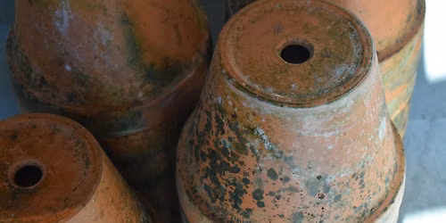 Kids Craft: Ancient Pottery @ Leland
