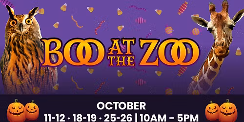 Boo at the Zoo 2025