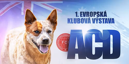 Evropsk\u00e1 klubov\u00e1 v\u00fdstava pro Australsk\u00e9 hon\u00e1ck\u00e9 psy