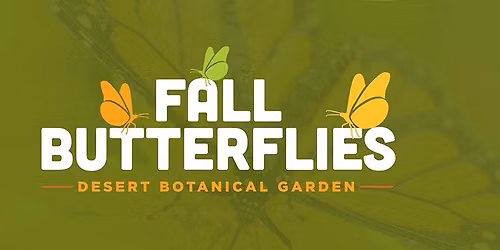 Fall Butterflies