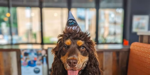 All Paws Welcome Pup Up Cafe - Reading
