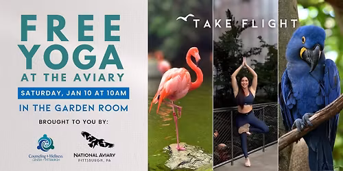 Free Yoga at the National Aviary