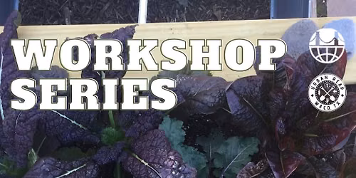 Free Workshop: Planning Your Fall Garden