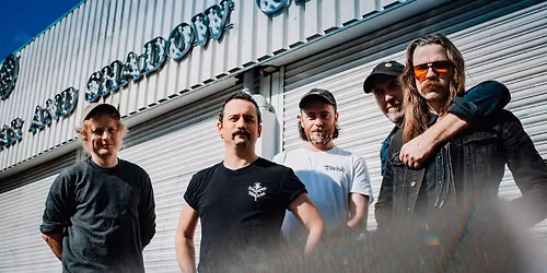 Pigs Pigs Pigs Pigs Pigs Pigs Pigs