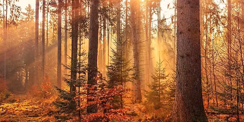 Fall Equinox Gathering