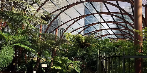 Stop Calling us Dinosaurs