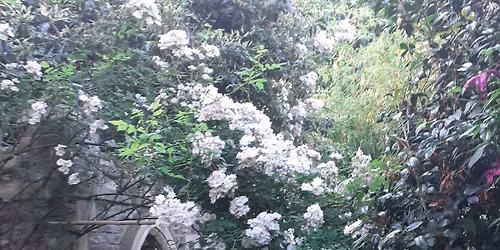 WATERDALE GARDEN OPEN DAY