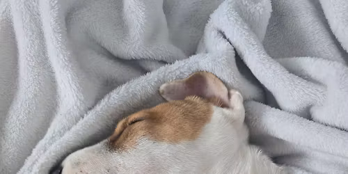 Meet & Greet at Home Hardware