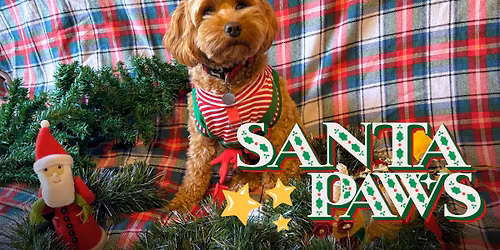 Santa Paws