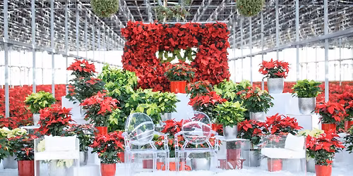 Dutch Heritage Gardens Holiday Open House