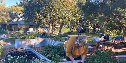 June - winter gardening & maintenance