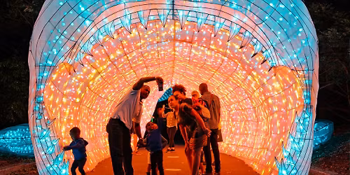 \u2728Wanderlight Trail: Family Nights\u2728
