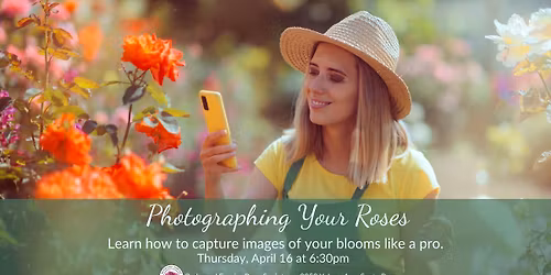 Photographing Your Roses Like A Pro