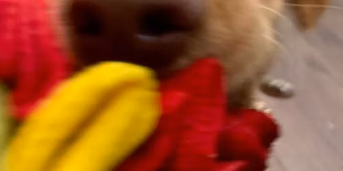 ALL ABILITIES EXERCISE CLASS 