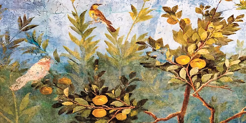 S\u00e9m\u00e9col\u239f Sant\u00e9 et environnement (1) Pathologies environnementales et approche \u2018One Health\u2019