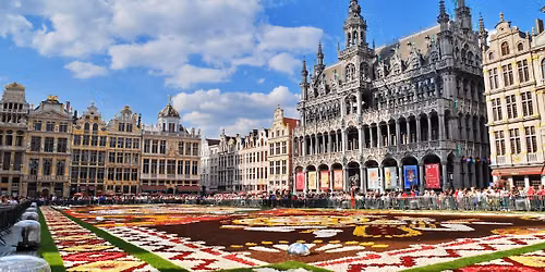 Dywan Kwiatowy w Brukseli, Antwerpia, Brugia, Gandawa, Ostenda [z Warszawy, \u0141odzi, Poznania] \ud83c\udde7\ud83c\uddea\ud83c\udf38