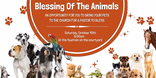 Blessings of the Animals