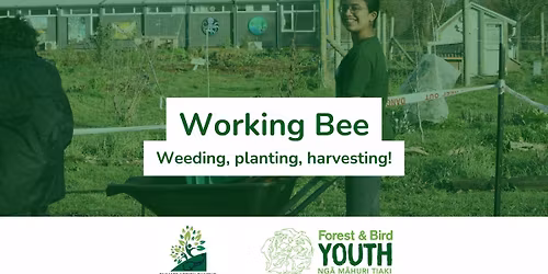 Working Bee - Climate Action Campus