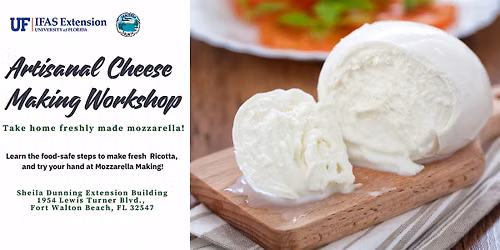 Artisanal Cheese Making Workshop, Fort Walton Beach, FL