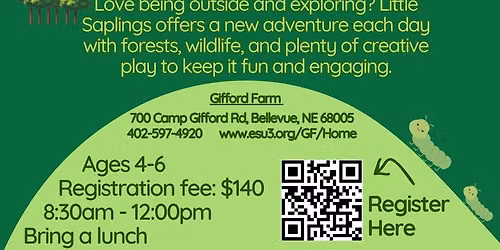 Little Saplings Camp