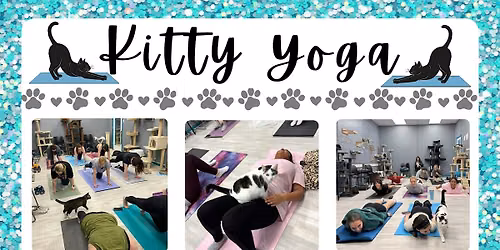 Kitty Yoga
