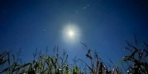 Black Girls Autumn: Night at the Corn Maze