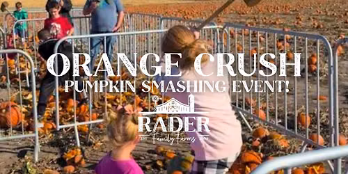 \ud83c\udf83 Orange Crush! Pumpkin Smashing and Recycling