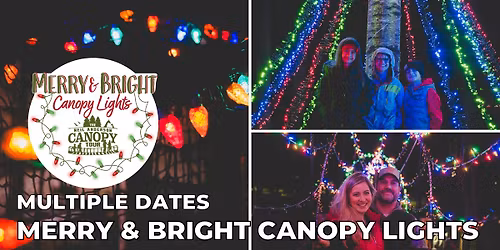 Merry & Bright Canopy Lights