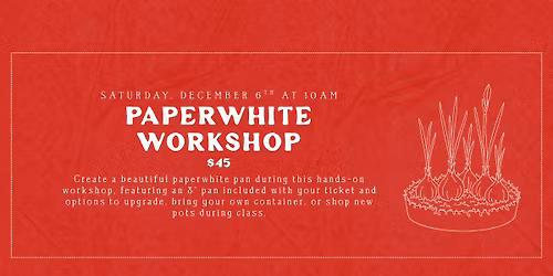 Paperwhite Workshop