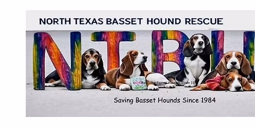 Lazy Dog Holiday Basset Meet Up