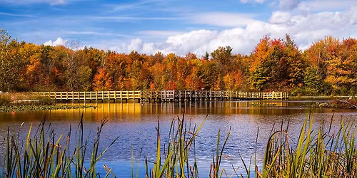 Semi-monthly meeting & quarterly in-person meeting - Aspects of Autumn